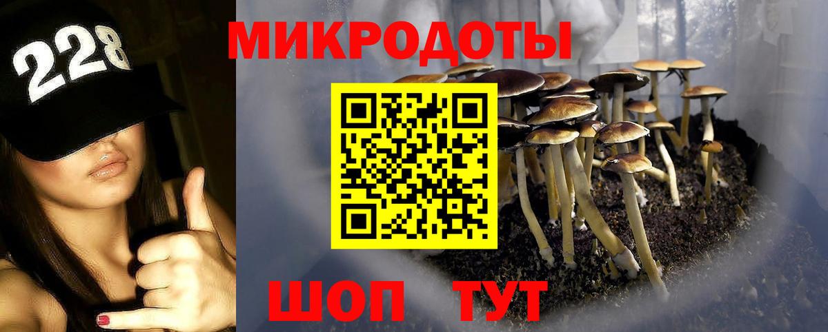 Галлюциногенные грибы мухоморы Гусев